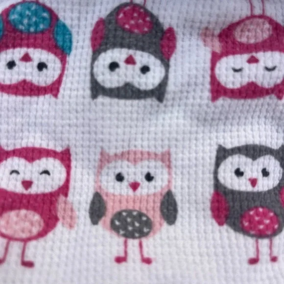 Cuddl Duds Owl Print Pajama Set - Pink and Blue - Picture 3 of 4